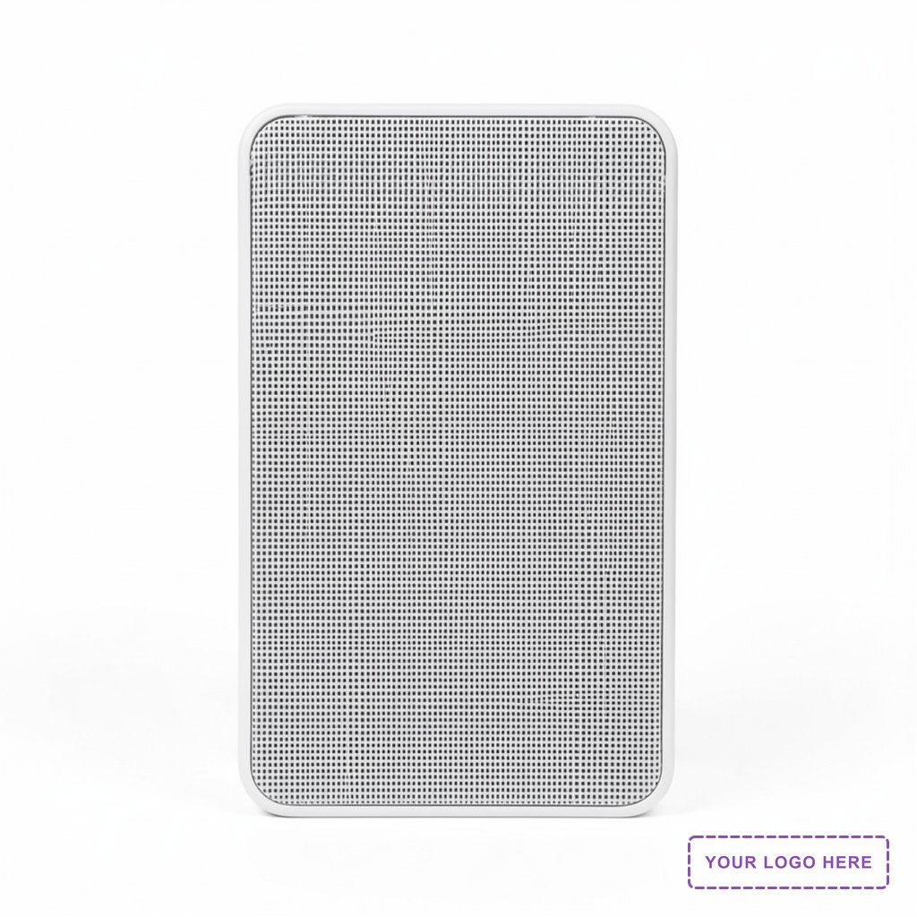 Wireless Wall Mount Speaker