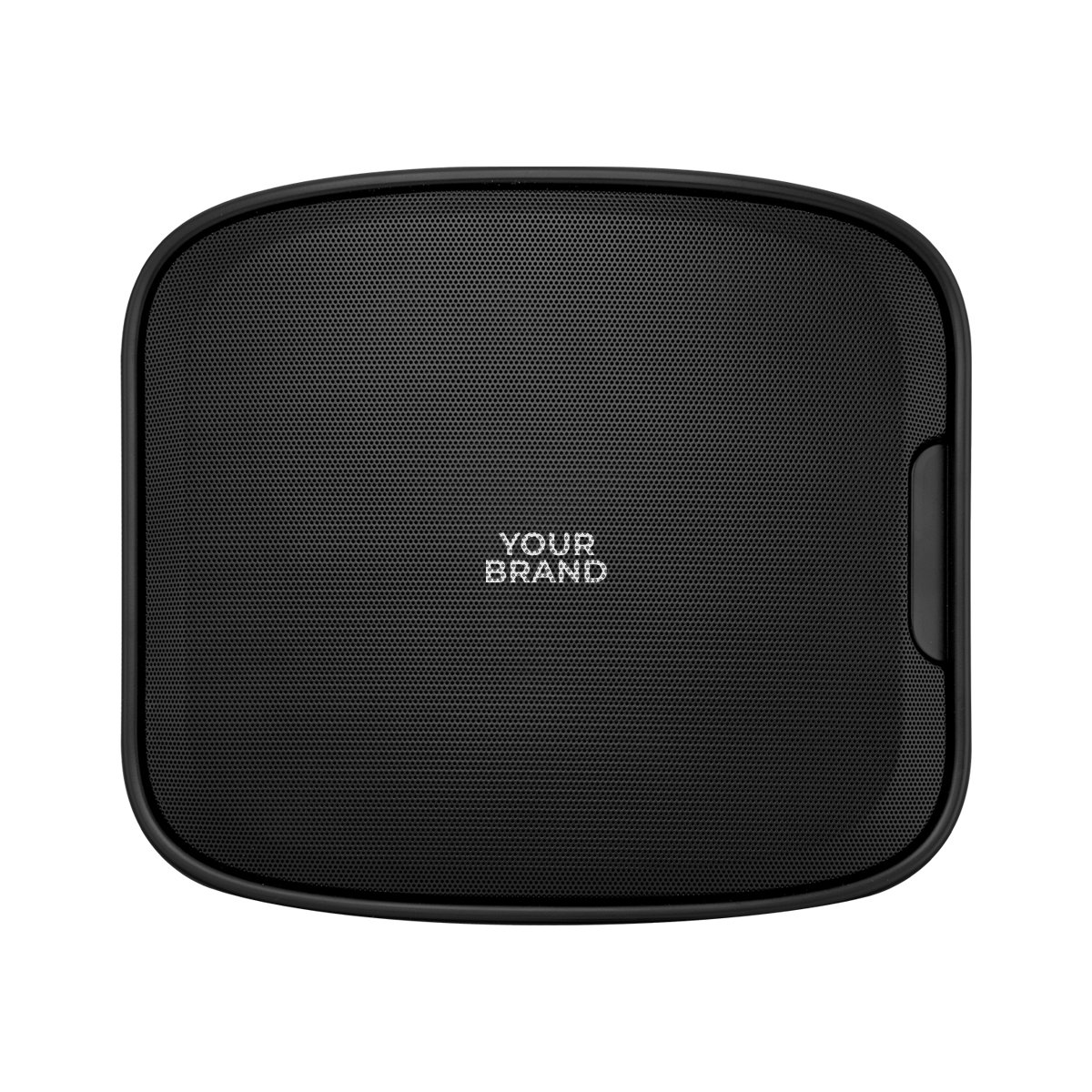 Next Level Wireless Wall Speaker