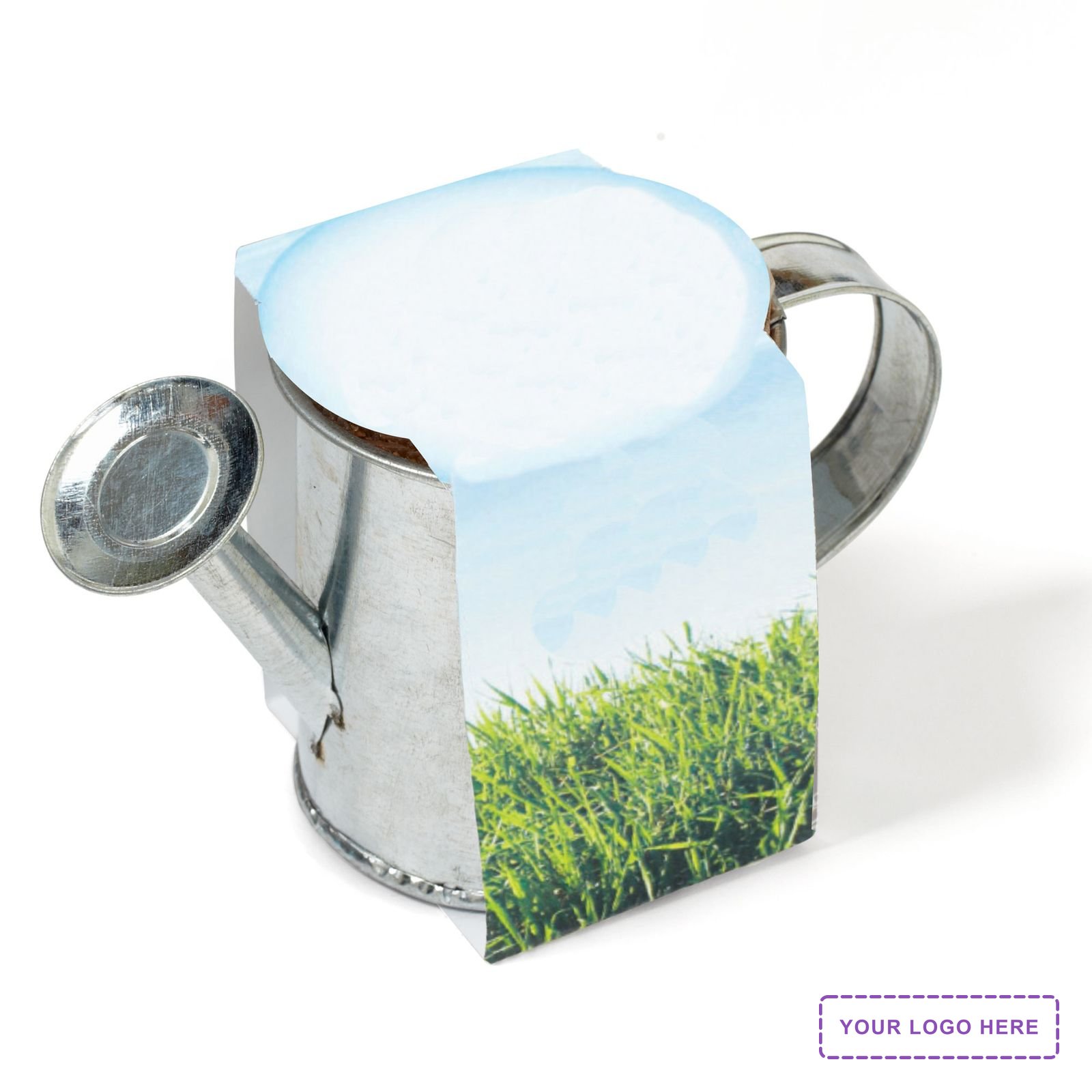 Watering Can Planter w/Seeds