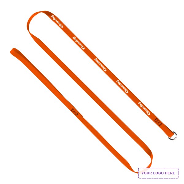 1/2" x 60" Smooth Nylon Pet Slip Leash