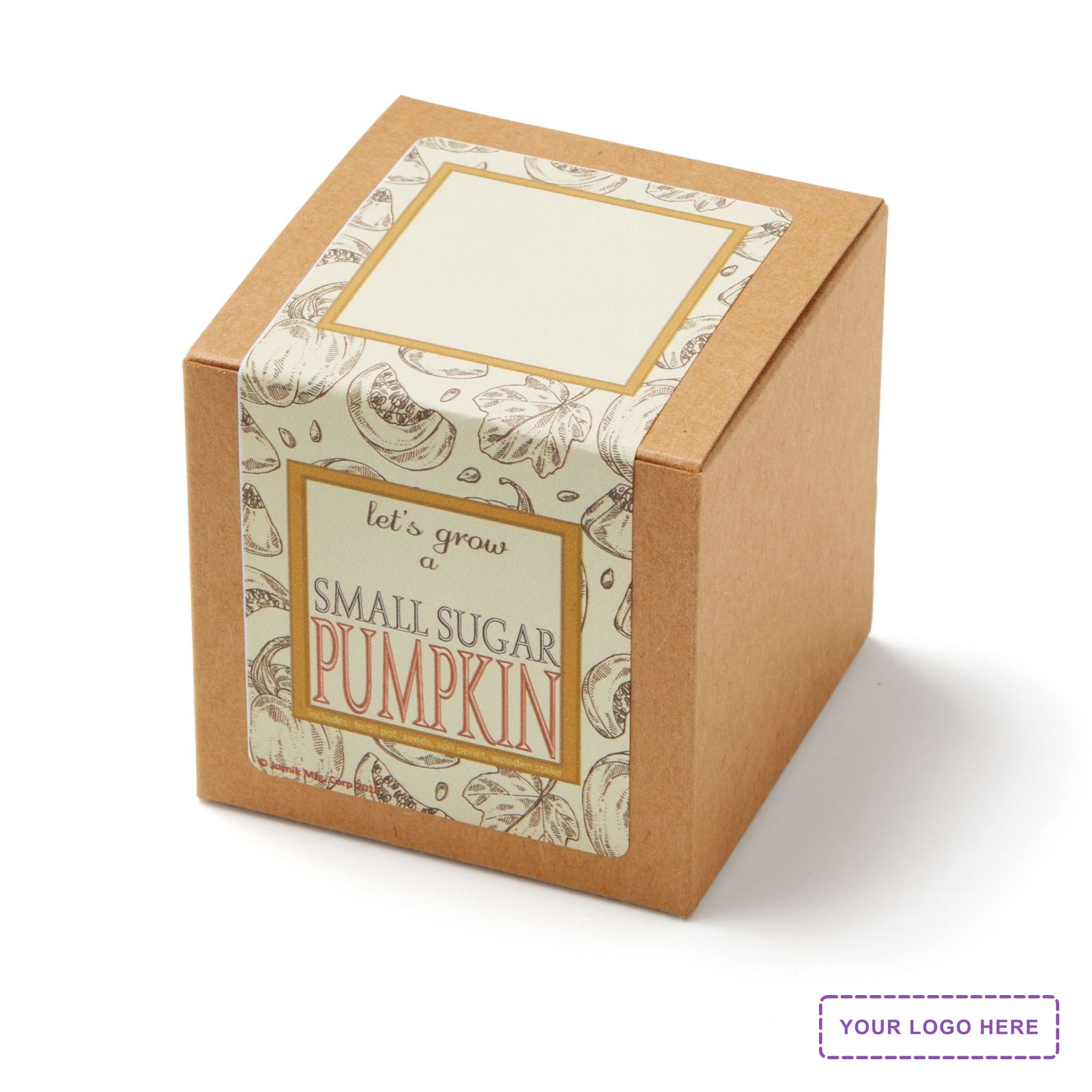Small Sugar Pumpkin Growables Planter Pot in Kraft Gift Box w/Seeds