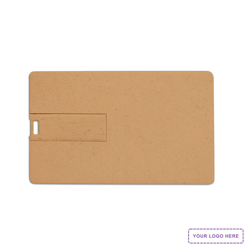Broadview Eco-Friendly Card USB