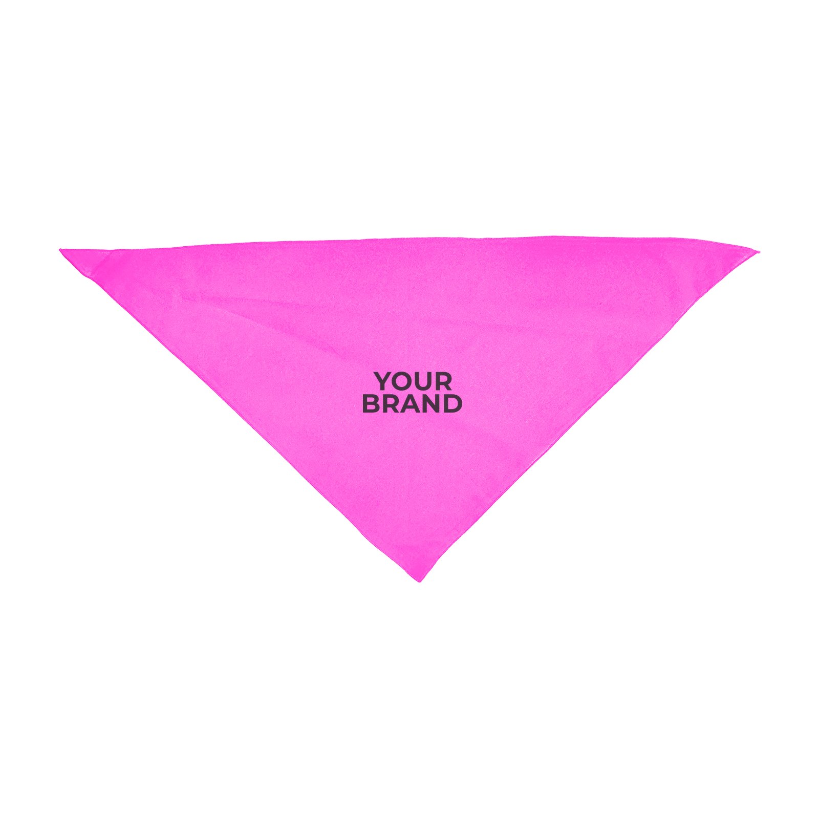 Large Triangle Pet Bandana with Screen Print