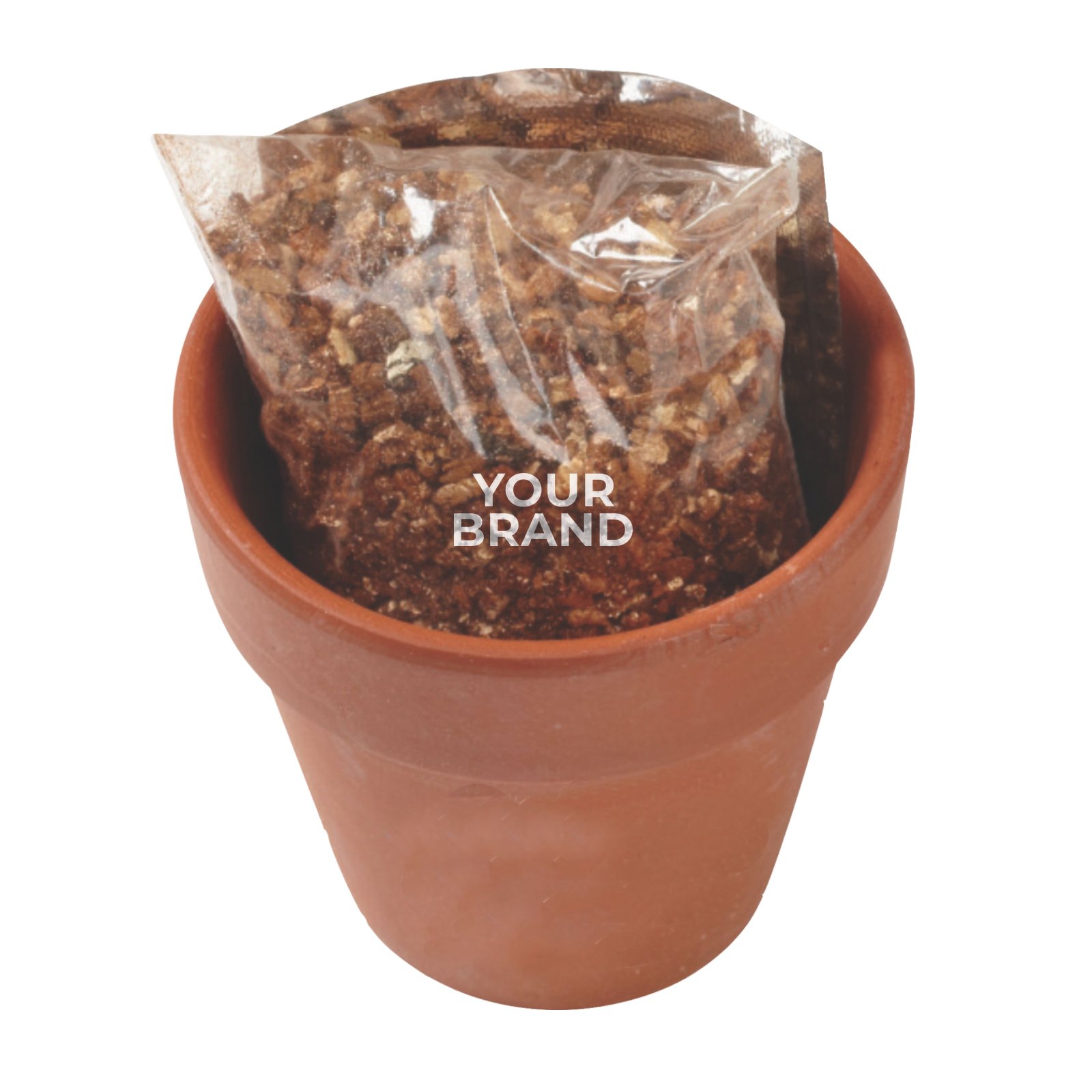 Seed Sensations Terracotta Pot w/Holiday Wrapper