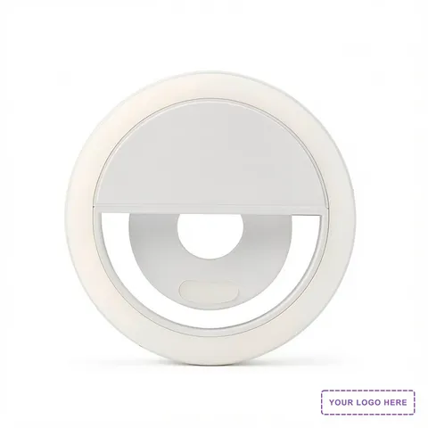 Online Meeting Adjustable Vanity Light