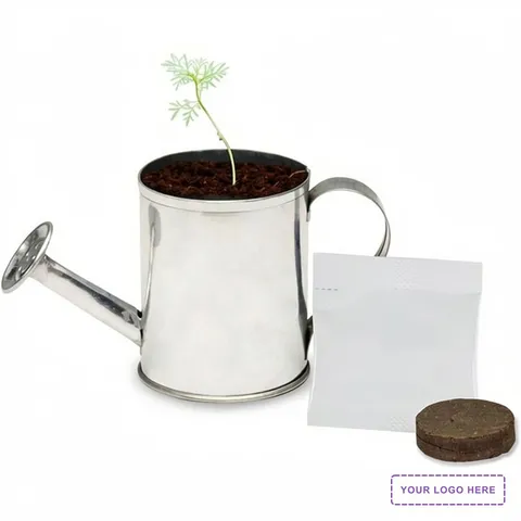 Watering Can Planter Kit