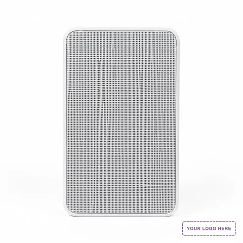 Wireless Wall Mount Speaker