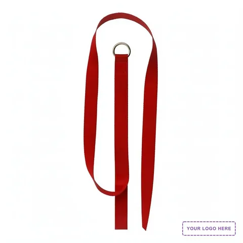 60" Slip Leash